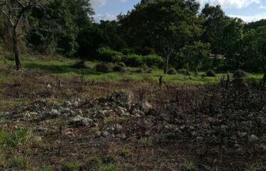 1/4 acre of level Residential land for sale