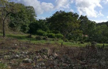 1/4 acre of level Residential land for sale