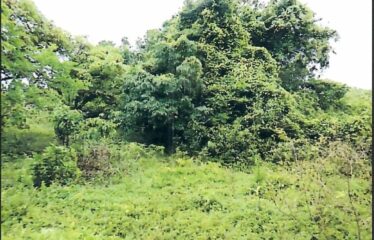 7+ Acre of land for sale