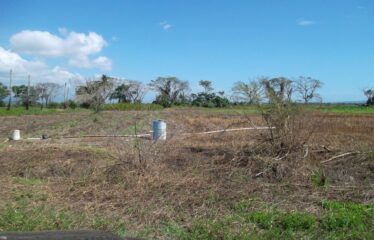 5 acre level residential land for sale