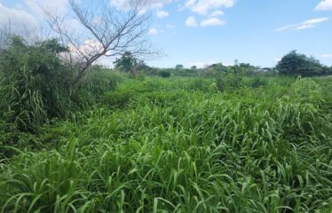 5 Acres of flat land for sale