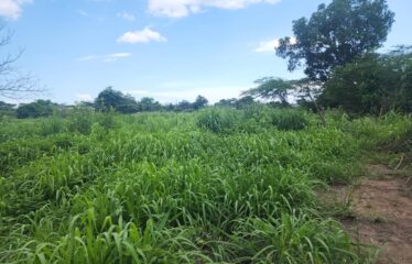 5 Acres of flat land for sale
