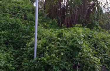 Residential Lot for sale