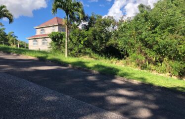 Over 1/2 Acre of land for sale