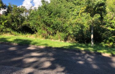 Over 1/2 Acre of land for sale
