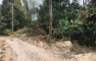 1.8 Acres of sloping Land