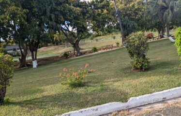 281 Country Club Drive, Twin Palms Estate