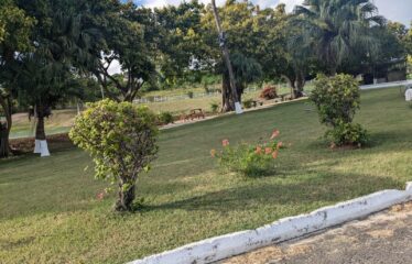 281 Country Club Drive, Twin Palms Estate