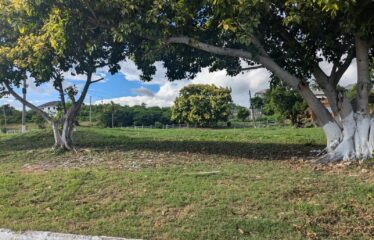 281 Country Club Drive, Twin Palms Estate