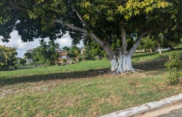281 Country Club Drive, Twin Palms Estate