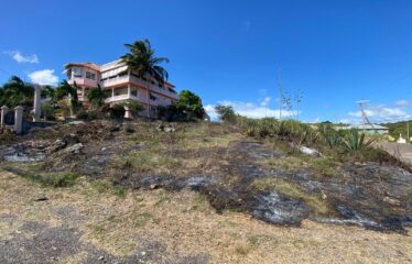 281 Country Club Drive, Twin Palms Estate