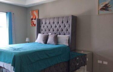 411-1-3 Ruthven Road