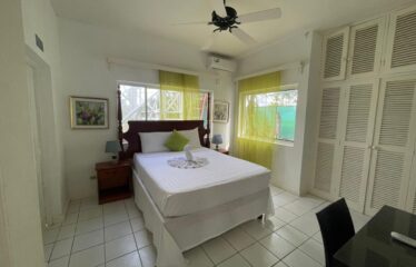 Unit #3 Mammee Beach Road