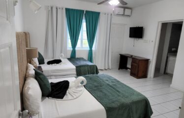 Unit #2 Mammee Beach Road