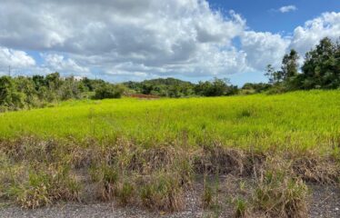 Lot 12-Wilson’s Pen, Cross Keys