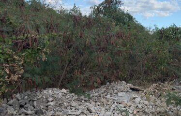 55 Old harbour Glades