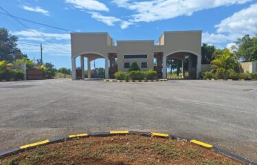 Lot 65-Palmbroook Estate Lacovia