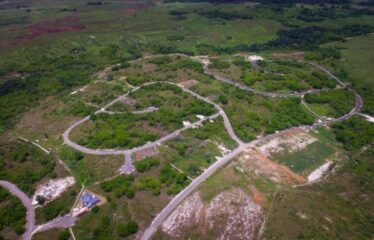 Lot 65-Palmbroook Estate Lacovia