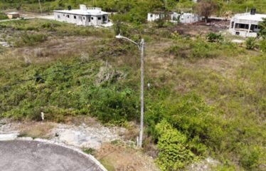 Lot 65-Palmbroook Estate Lacovia