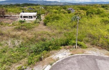 Lot 65-Palmbroook Estate Lacovia