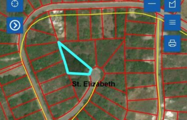 Lot 65-Palmbroook Estate Lacovia