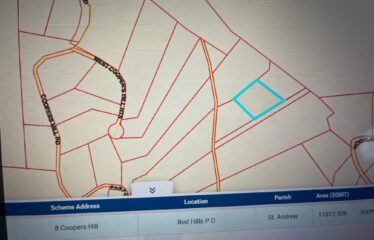 Lot 3 Coopers Hill Heights