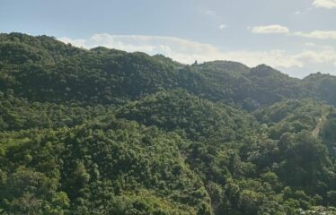 Lot 3 Coopers Hill Heights