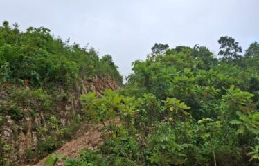 Lot 3 Coopers Hill Heights