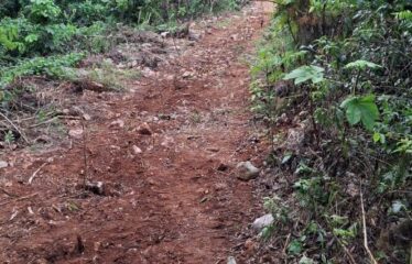 Lot 3 Coopers Hill Heights