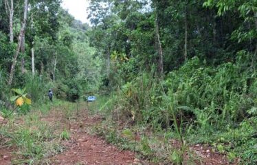 Lot 3 Coopers Hill Heights