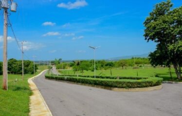 Lot 322 Palmbrook Estate Lacovia