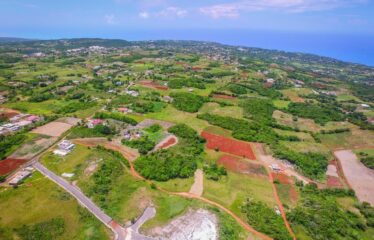 Lot 23 Miller Heights