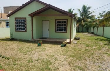 Lot 464A Palm Circle, Magil Palm