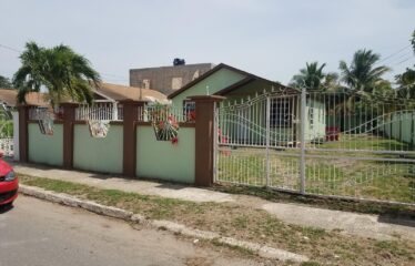 Lot 464A Palm Circle, Magil Palm