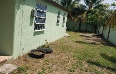 Lot 464A Palm Circle, Magil Palm