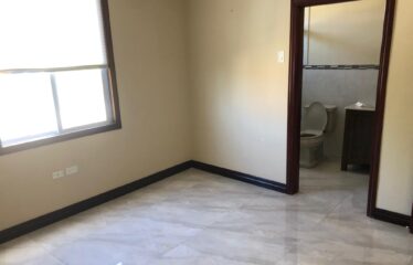 22 4 Upper Musgrave Avenue