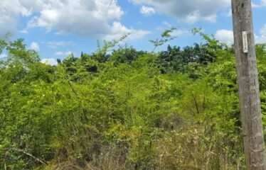 Lot 65-Palmbrook Estate