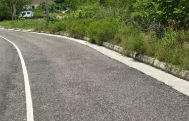 Lot 65-Palmbrook Estate