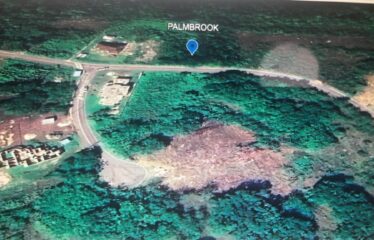 Lot 65-Palmbrook Estate
