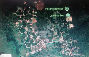 Lot 65-Palmbrook Estate