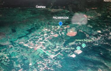 Lot 65-Palmbrook Estate