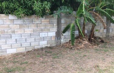 LOT 33 Stamen Close Jacaranda