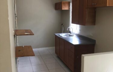 LOT 33 Stamen Close Jacaranda