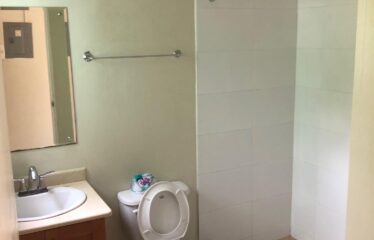 LOT 33 Stamen Close Jacaranda