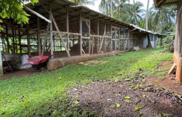 74 Acres Hope Bay, Portland