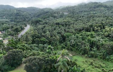 74 Acres Hope Bay, Portland
