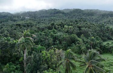 74 Acres Hope Bay, Portland