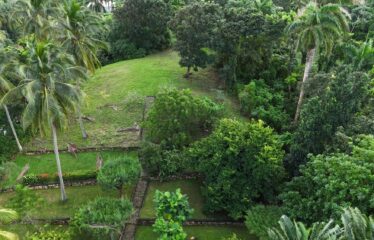 74 Acres Hope Bay, Portland