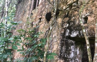 Elgin Ulster Springs, Trelawny