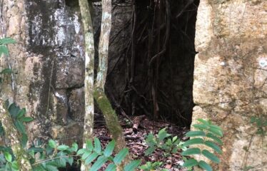 Elgin Ulster Springs, Trelawny